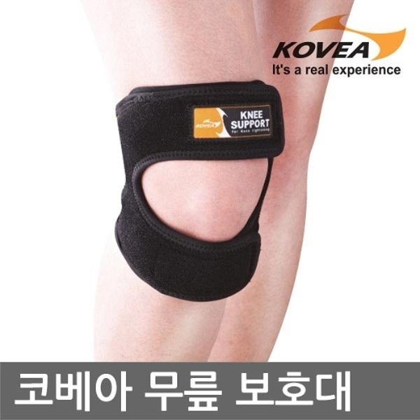 확대된 대표 image1