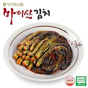 [한국농협김치] 전북 대표김치 마이산 갓김치3kg