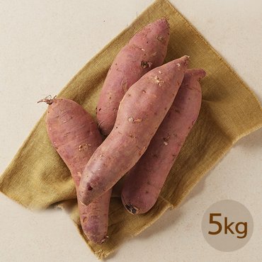 작심밀도 산지직송 여주 햇 한입 꿀고구마 5kg (박스/개당 70g이하)