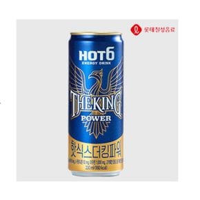 핫식스 더킹 파워 330ml X 24개 에너지음료