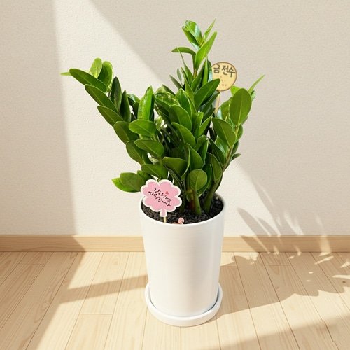 메인이미지