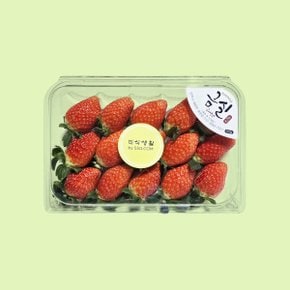 SSG 김진상 금실딸기 400g/팩