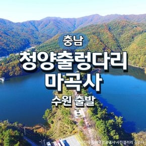 KTX청양출렁다리·고운식물원·마곡사 기차여행(수원출발)