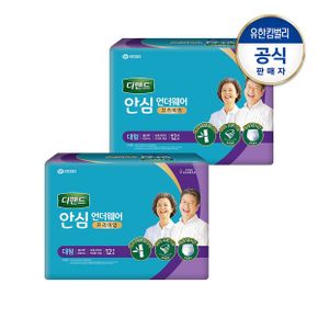 안심플러스 언더웨어 프리미엄 대형12매x2팩_P336919770