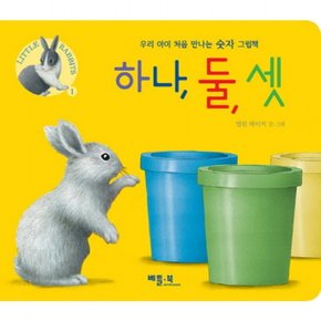 하나 둘 셋 : 우리 아이 처음 만나는 숫자 그림책 (Little Rabbits 1) [보드북]