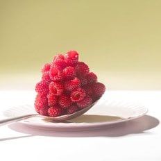 미식생활 [신선장인] 예관기 산딸기 (90g)