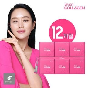 에버콜라겐 타임비오틴 셀 12개월/360포[33114086]