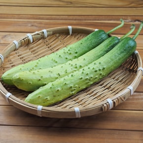 아삭한 국내산 백오이 빽오이 백다다기 1kg