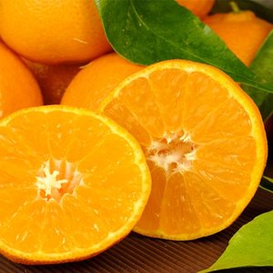 참다올 오렌지 2.5kg 내외(대과 8-12개)