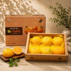 [바로배송] 서귀포 현가원 황금향 2kg (6-10과, 실중량)