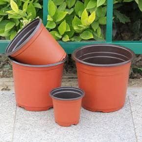 모종포트 플라스틱 연질화분 15cm