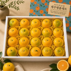 [9/15(화) 순차출고] 갓따온 제주 황금향 선물세트 4.5kg 중과 20-26과