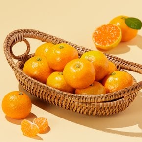 저탄소 하우스 꼬마감귤 1kg/팩
