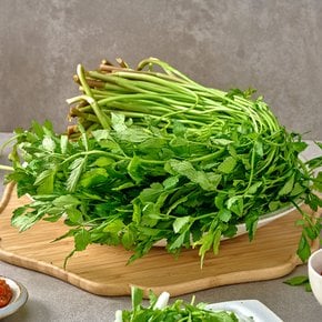 당일수확 향긋한 청도 미나리 500g