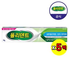 폴리덴트 의치 부착재 70g(무향)x5개