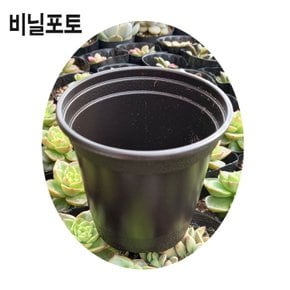 플라스틱화분 분갈이용토 비닐포토 지름9cm
