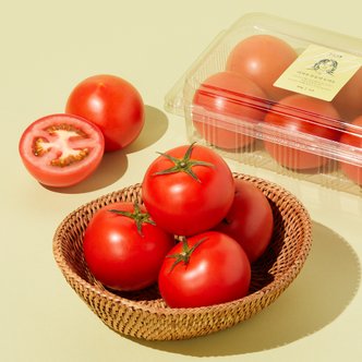  [신선장인] 이서주 무농약 토마토 900g/팩
