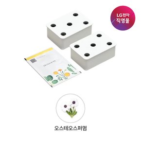 [LG전자 직영][택배배송] 틔운 씨앗키트 LPM57 오스테오스퍼멈 (미니 호환)