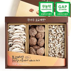 [명절 후 배송][웰굿]무농약GAP인증 표고버섯 동고 3종세트(동고,슬라이스,표고칩)