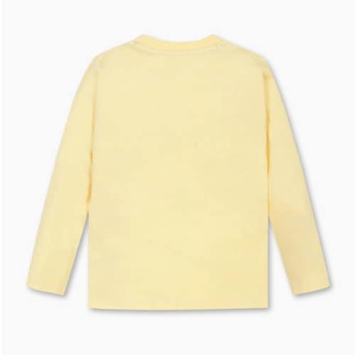 IMAGE2