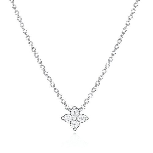 이미지 CP
