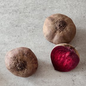 [자연속애] 강원도 평창 못난이 레드비트 3kg