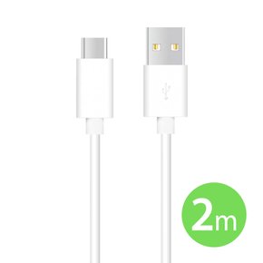 ALLDOCUBE iplay50 Pro C타입 고속 충전 케이블 2m