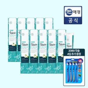 청은차 10입+ 칫솔 4입 구성