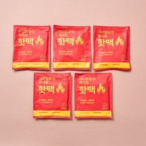 온종일 따뜻한 핫팩 5개 번들팩 특대형 140g