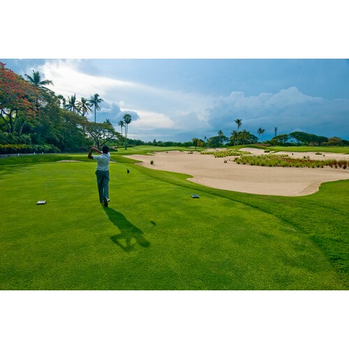 Bali_National_Golfer_CjxA9S1.png