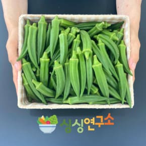 [농림축산부장관상 농장] 충남당진 특품 생 오크라 1kg