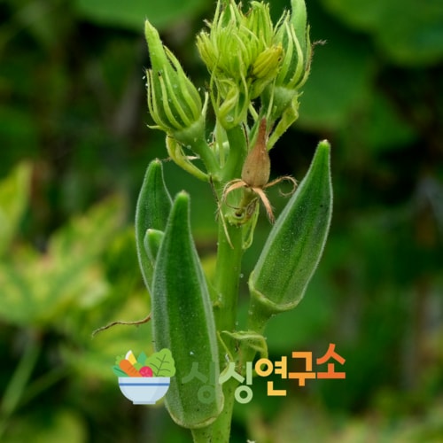 상품이미지3