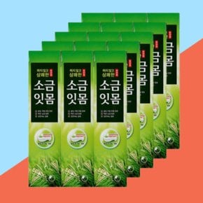 메디안 치약 송천염 120x3입 5세트 (총15개)