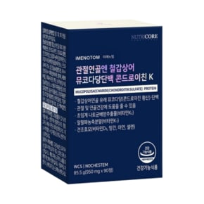 관절연골엔 철갑상어 뮤코다당단백 콘드로이친 K 950mg x 90정 1개