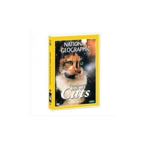 내셔널지오그래픽 고양이의 비밀 (The secret life of cats DVD)