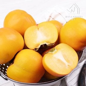 [웰굿] 산지직송 진주 부유 단감 5kg(28-30과내외,중과)