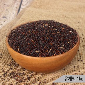 건강알곡 유채씨 1kg 앵무새 햄스터 모이 간식 사료