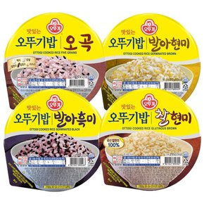 오뚜기밥 200g x 24개 + 발아현미 210g x 12개/찰현미/흑미/오곡