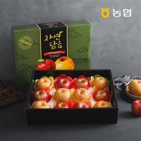 [SSG상품권이벤트][9/2순차출고][자연맛남] 농협선별 프리미엄 과일 1호 혼합선물세트 6kg (사과6개+배5개)