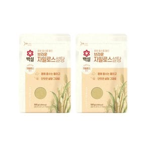 CJ 백설 브라운자일로스설탕 500g x2개