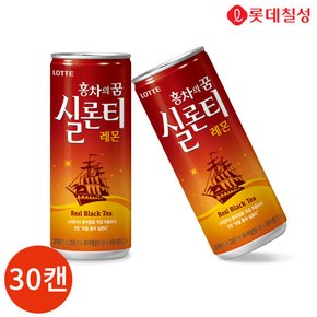 롯데 실론티 240ml x 30캔