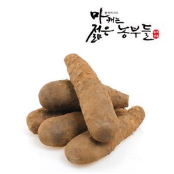 [산지직송] 마 캐는 젊은 농부들 산마 5kg (중) - SSG.COM