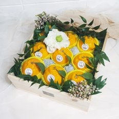 [1/15(수)순차출고][바로배송]파머스스토리 프리미엄 한라봉 과일바구니 특대