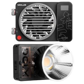 MOLUS X100 100W (사진/영상촬영 LED 조명/지속광)