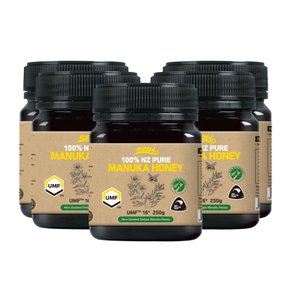 SPH 뉴질랜드 마누카 꿀 NZ Pure Manuka Honey UMF 16+ 250g 5개