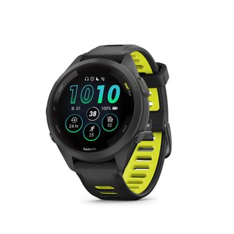 2. 가민 포러너 2..