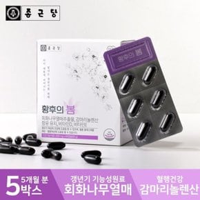 황후의봄 5박스 5개월분