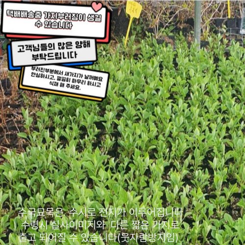 추가이미지