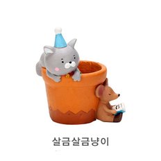 화분 다육이 루고 러블리캣 거실화분