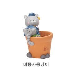 화분 다육이 루고 러블리캣 거실화분